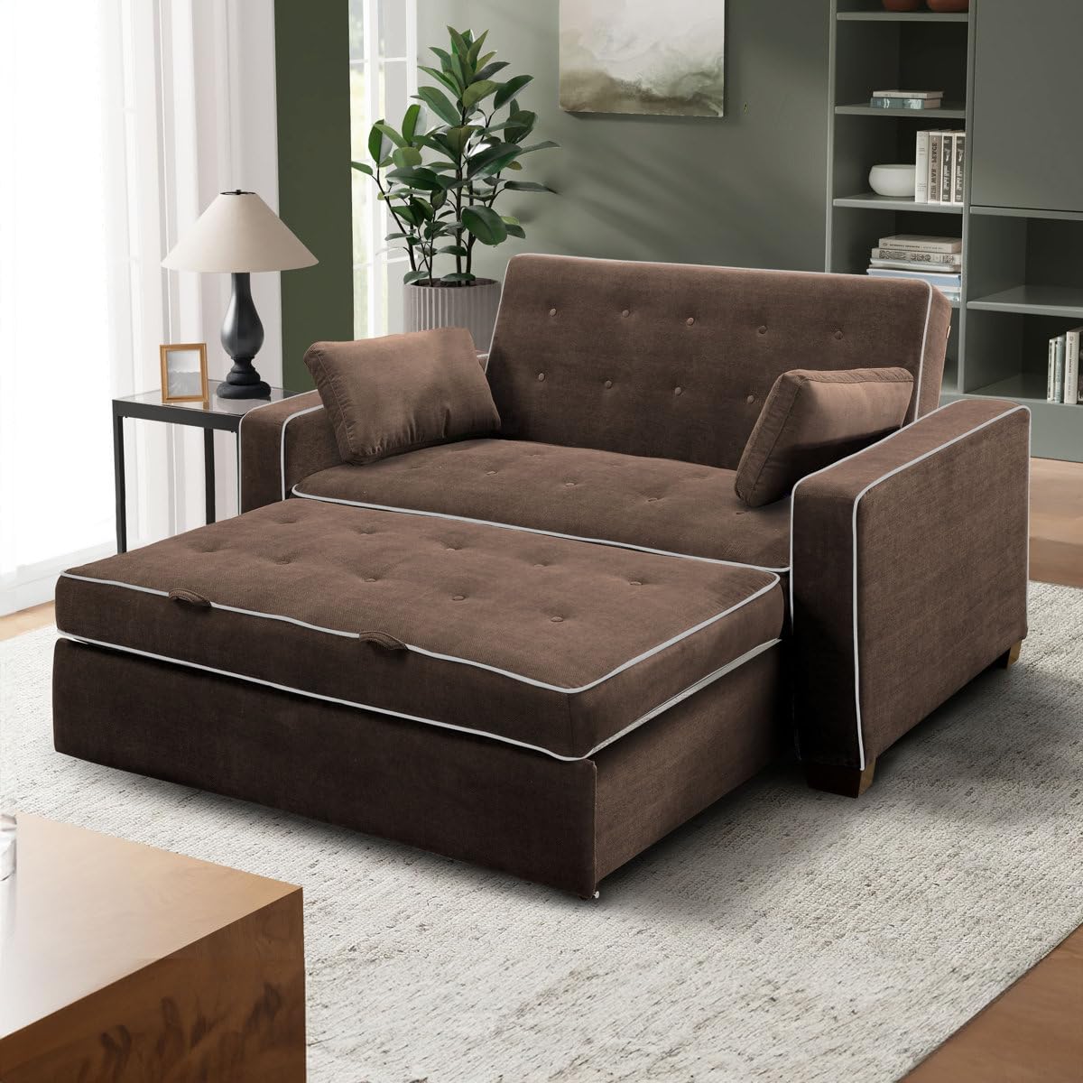 Barton 66.5'' Premium 2 in 1 Pull Out Sofa Bed